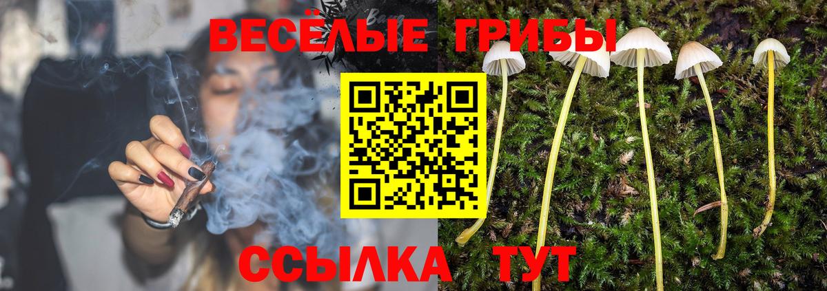 Псилоцибиновые грибы MAGIC MUSHROOMS Соль-Илецк