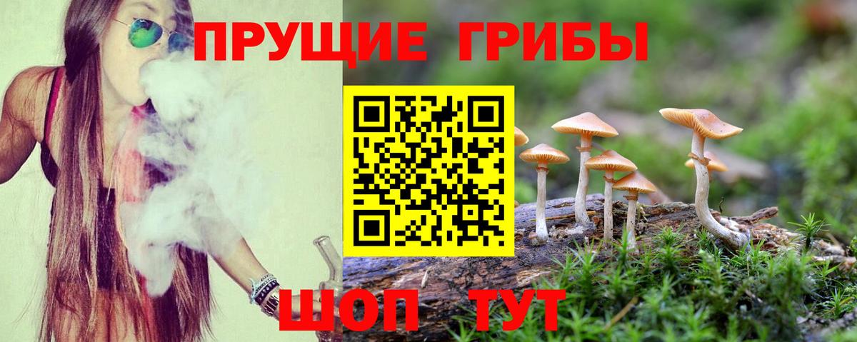 Псилоцибиновые грибы GOLDEN TEACHER  Вход с VPN  Соль-Илецк 